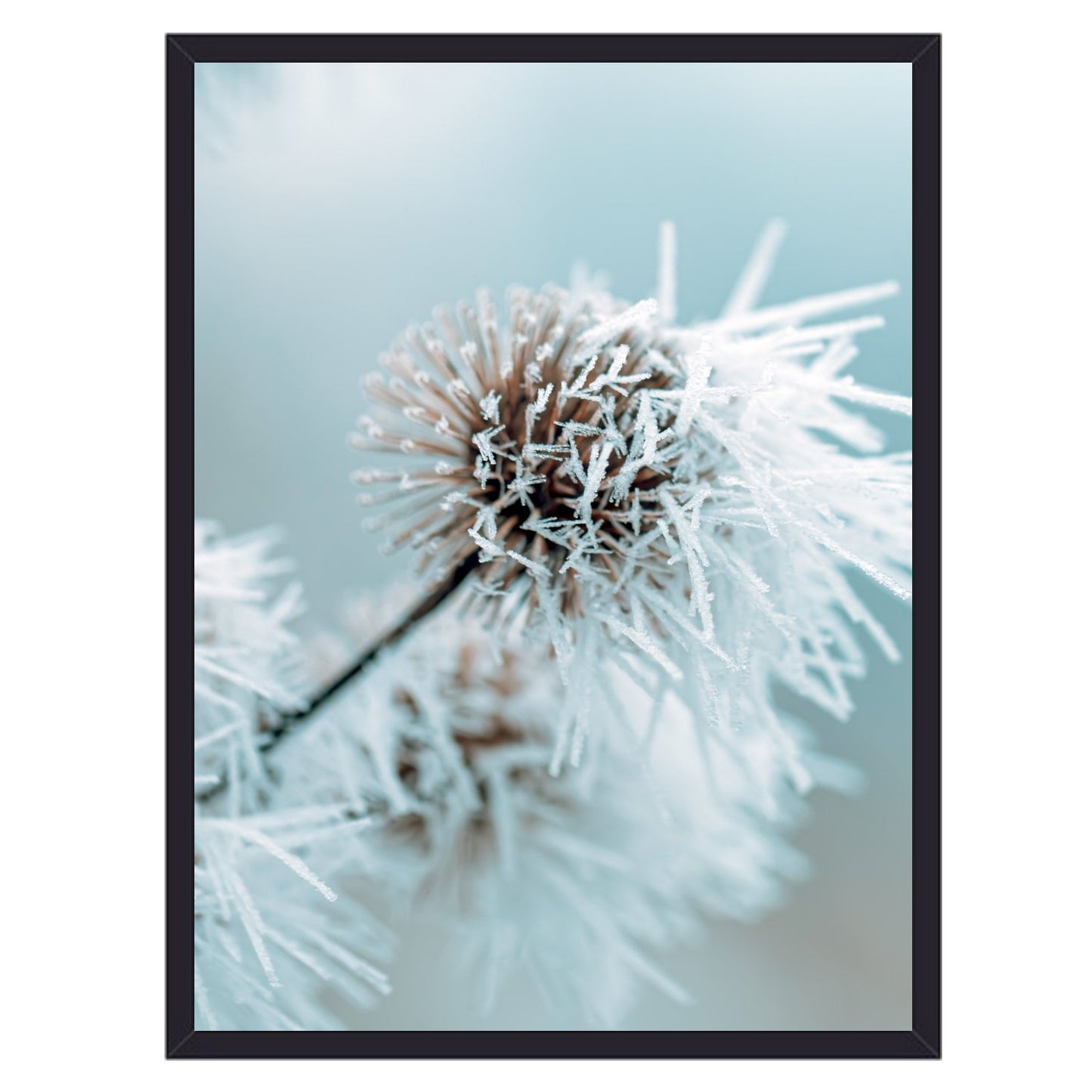 Græs eng blomster plakat